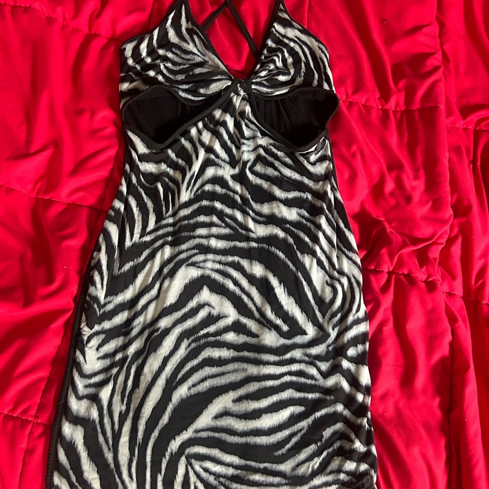 Zebra Print Mini Dress